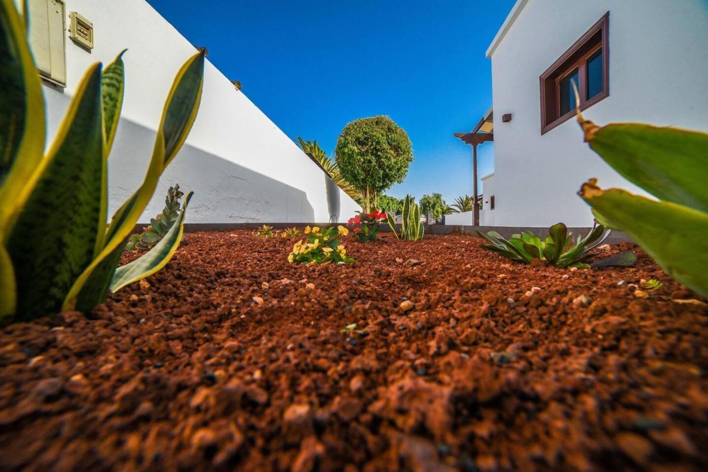 Agradable Y Familiar Con Piscina Casa Inima Villa Playa Blanca  Exterior photo